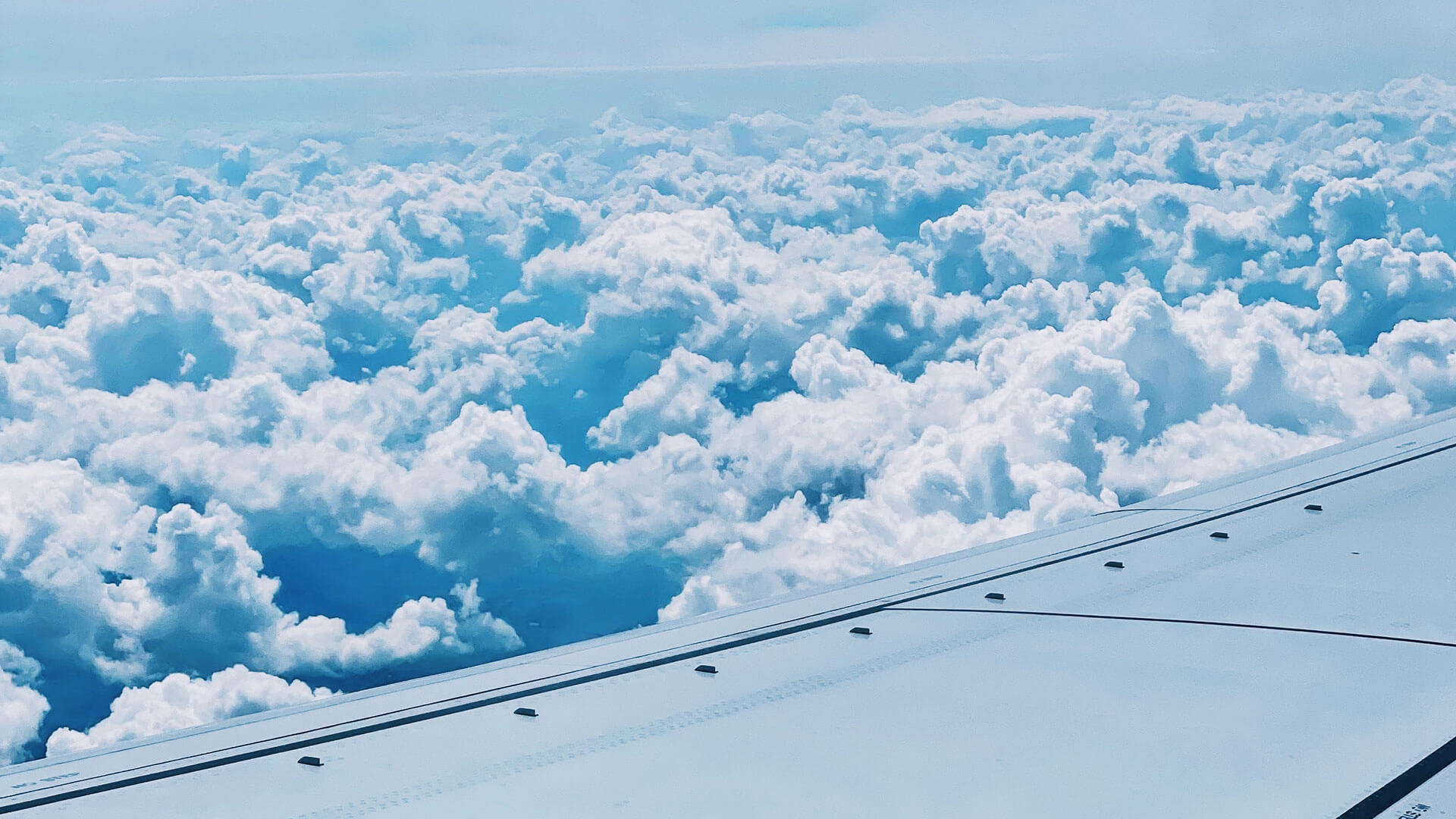 Air Freight Vehicle Shipping